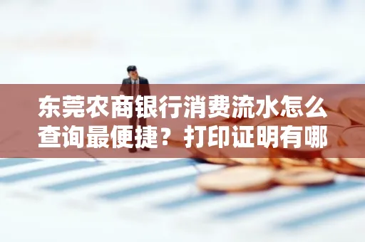 东莞农商银行消费流水怎么查询最便捷？打印证明有哪些风险需注意？
