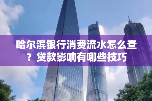哈尔滨银行消费流水怎么查?贷款影响有哪些技巧